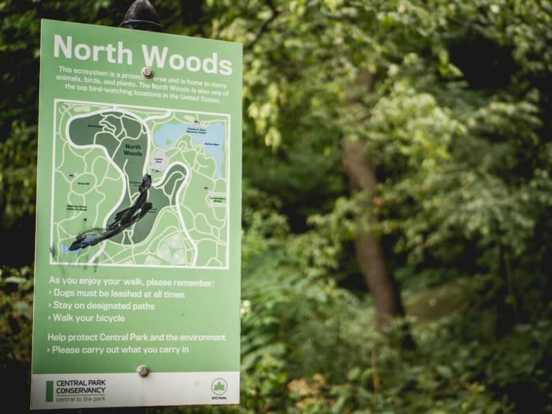 Nowy Jork North Woods
