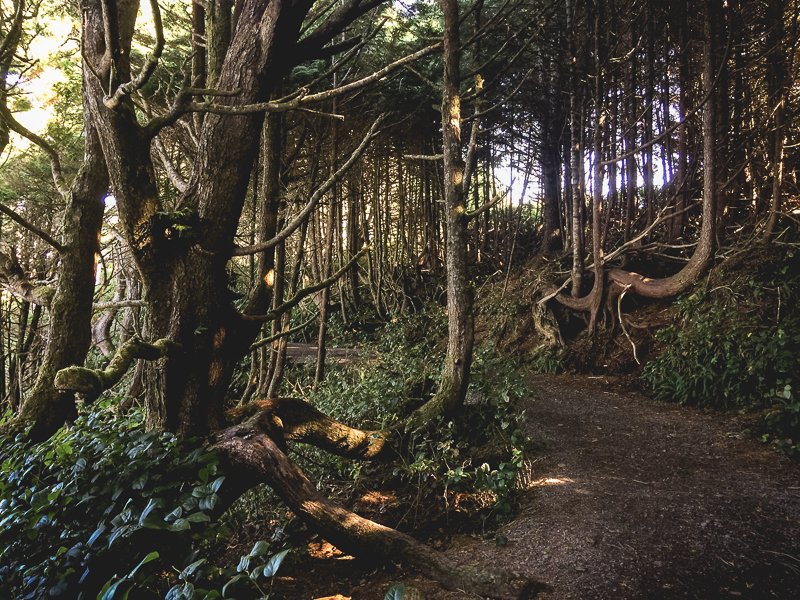 Ucluelet Vancouver Island Canada
