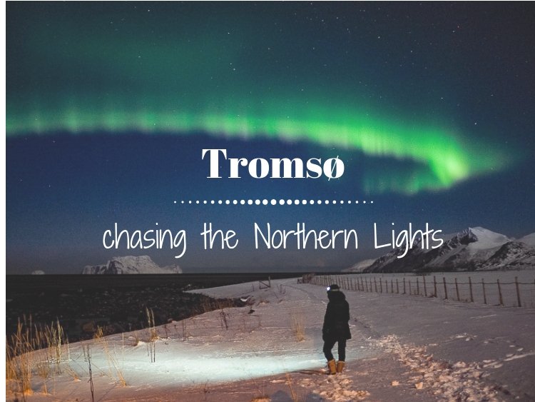 Tromso chasing the northern lights