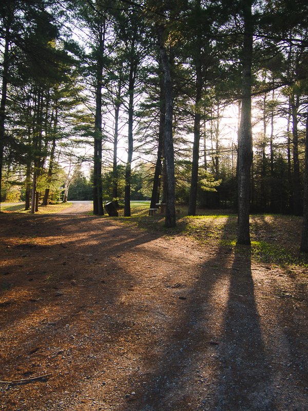 Sunset Alganquin Park Ontario Canada